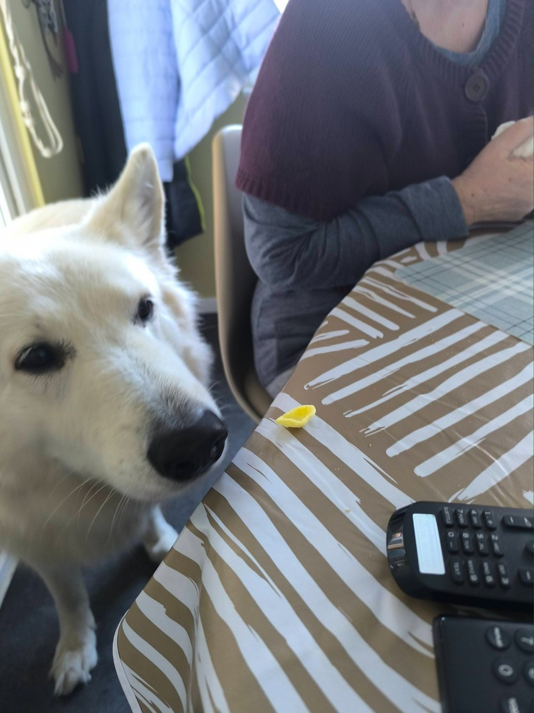 R'sirius Du Moulin De Beuvry