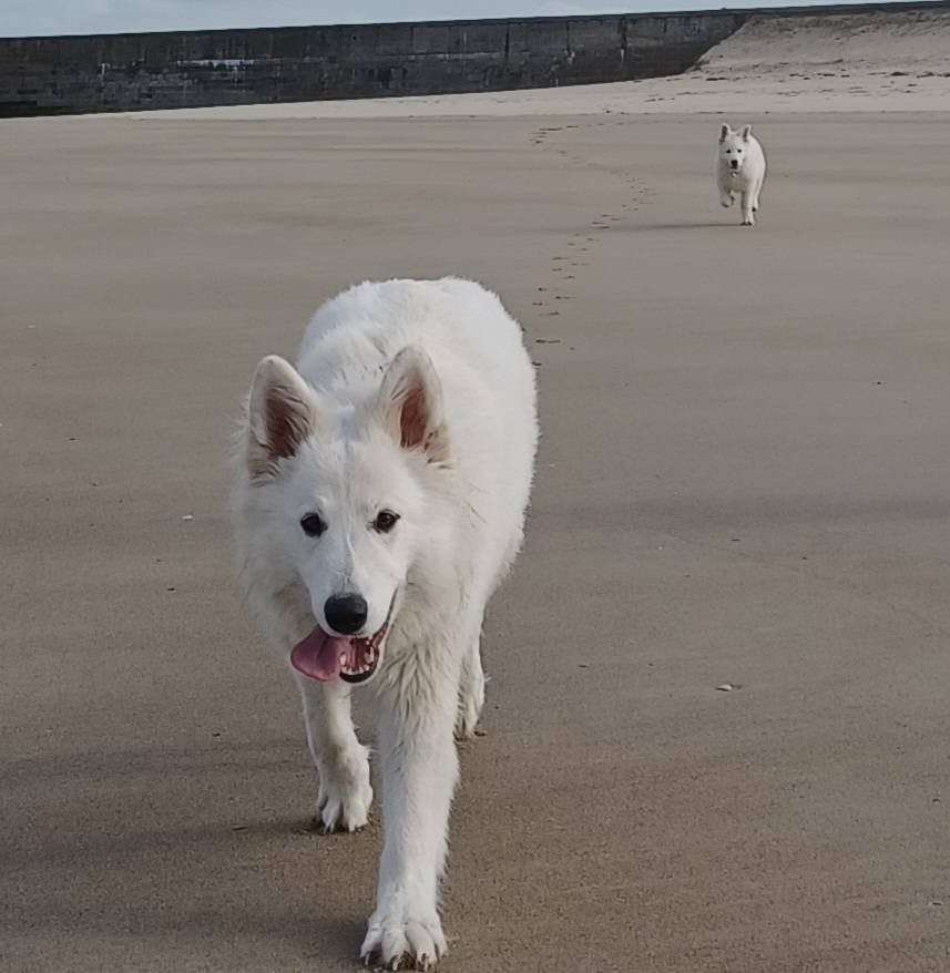 A skadi Du Moulin De Beuvry