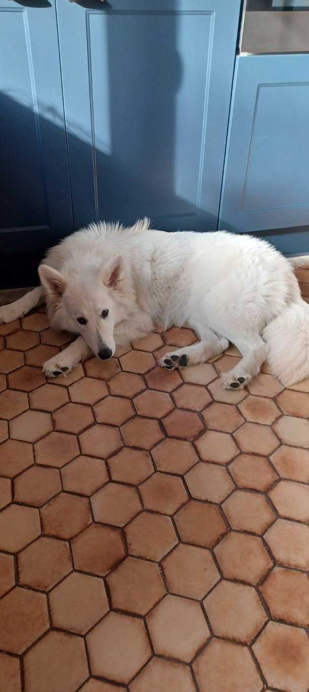 A skadi Du Moulin De Beuvry