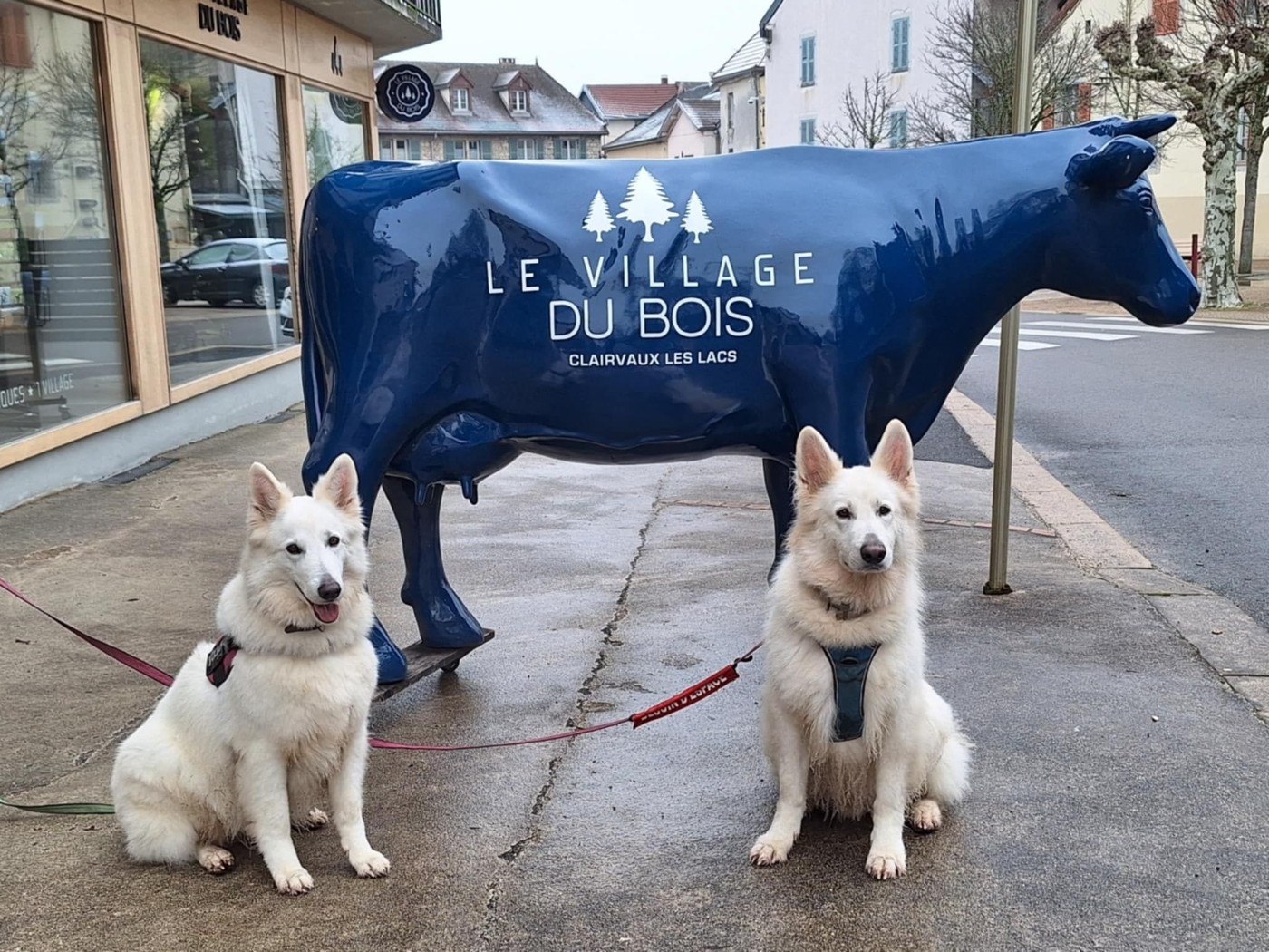 Ozalee Du Moulin De Beuvry