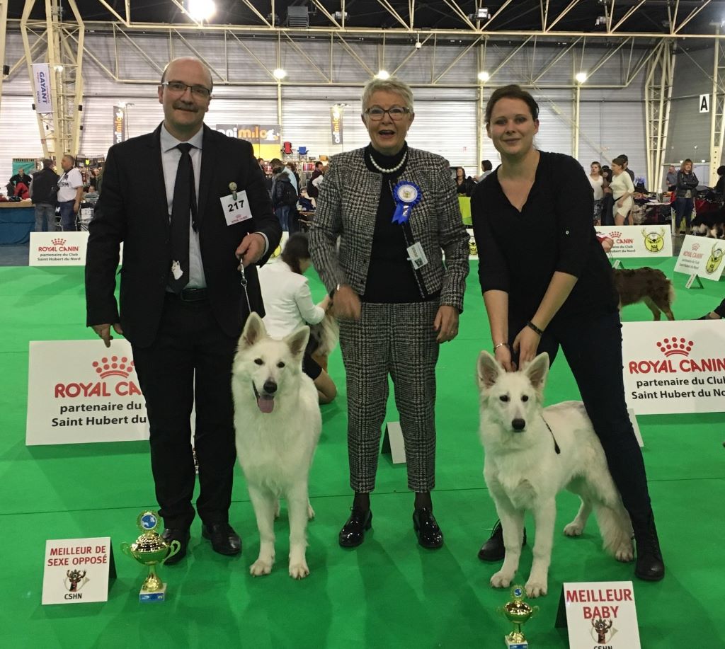 CH. Nice white nova Du Moulin De Beuvry - 1er Exc CACS CACIB BOS