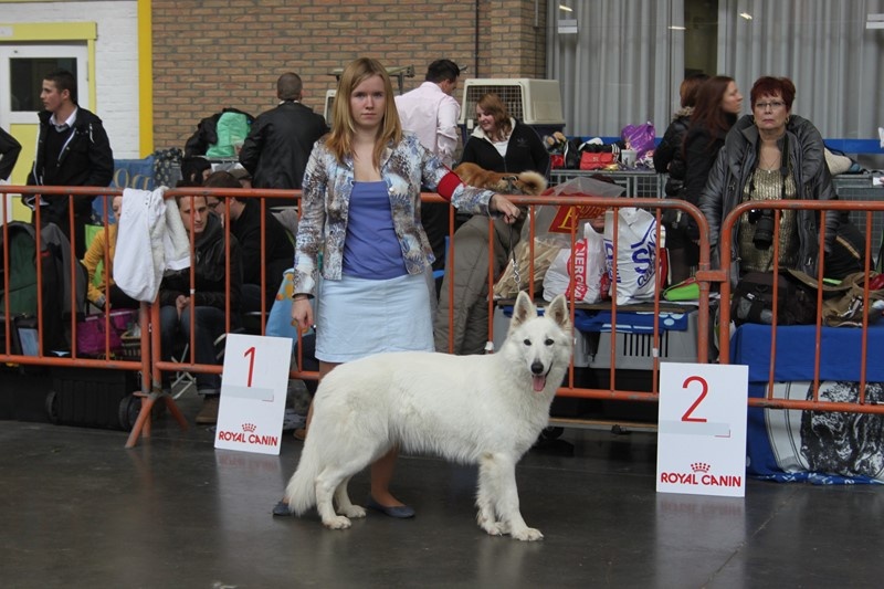 HaÑa Du Moulin De Beuvry - 2ème EXCELLENT