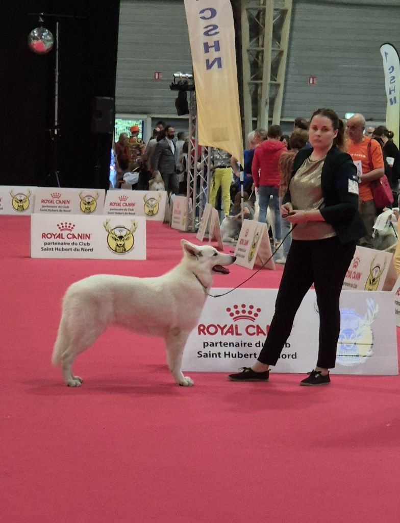 U're the only one jade Of Farah's Pearls - 1er Exc CACS Jeune Meilleur Jeune