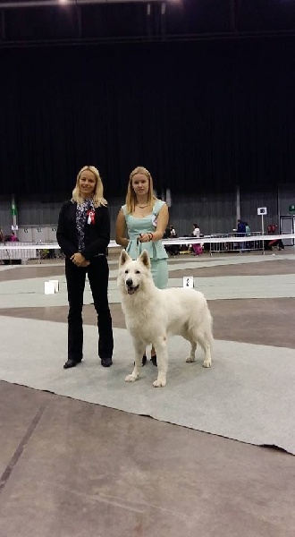 CH. Hatchi Du Moulin De Beuvry - 1er Exc CAC CACIB BOS
