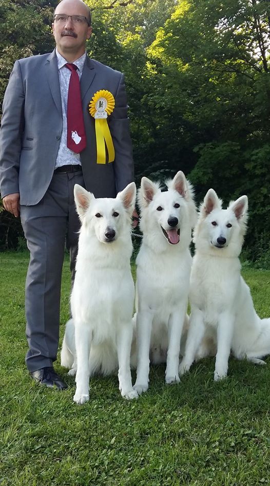 CH. Nice white nova Du Moulin De Beuvry - 1er Très Prometteur MEILLEUR PUPPY