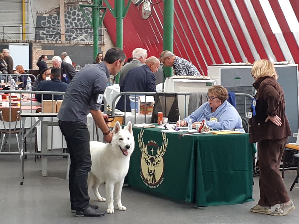 Obi wan kenobi Du Moulin De Beuvry - 1er TB