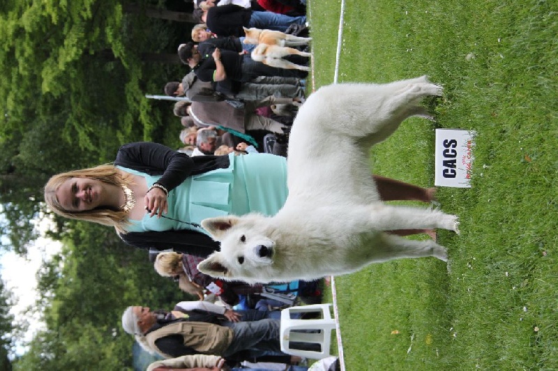 CH. Hatchi Du Moulin De Beuvry - 1er EXCELLENT CACS