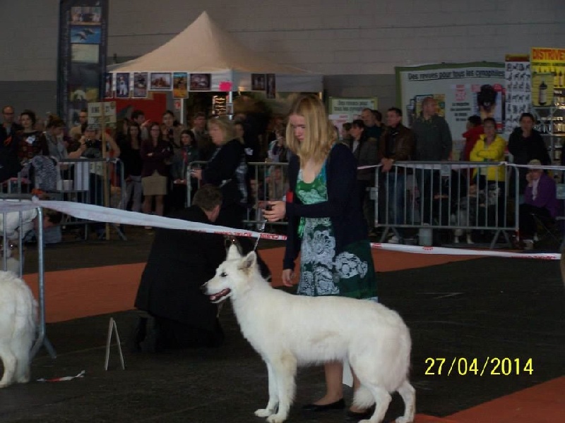 HaÑa Du Moulin De Beuvry - TB