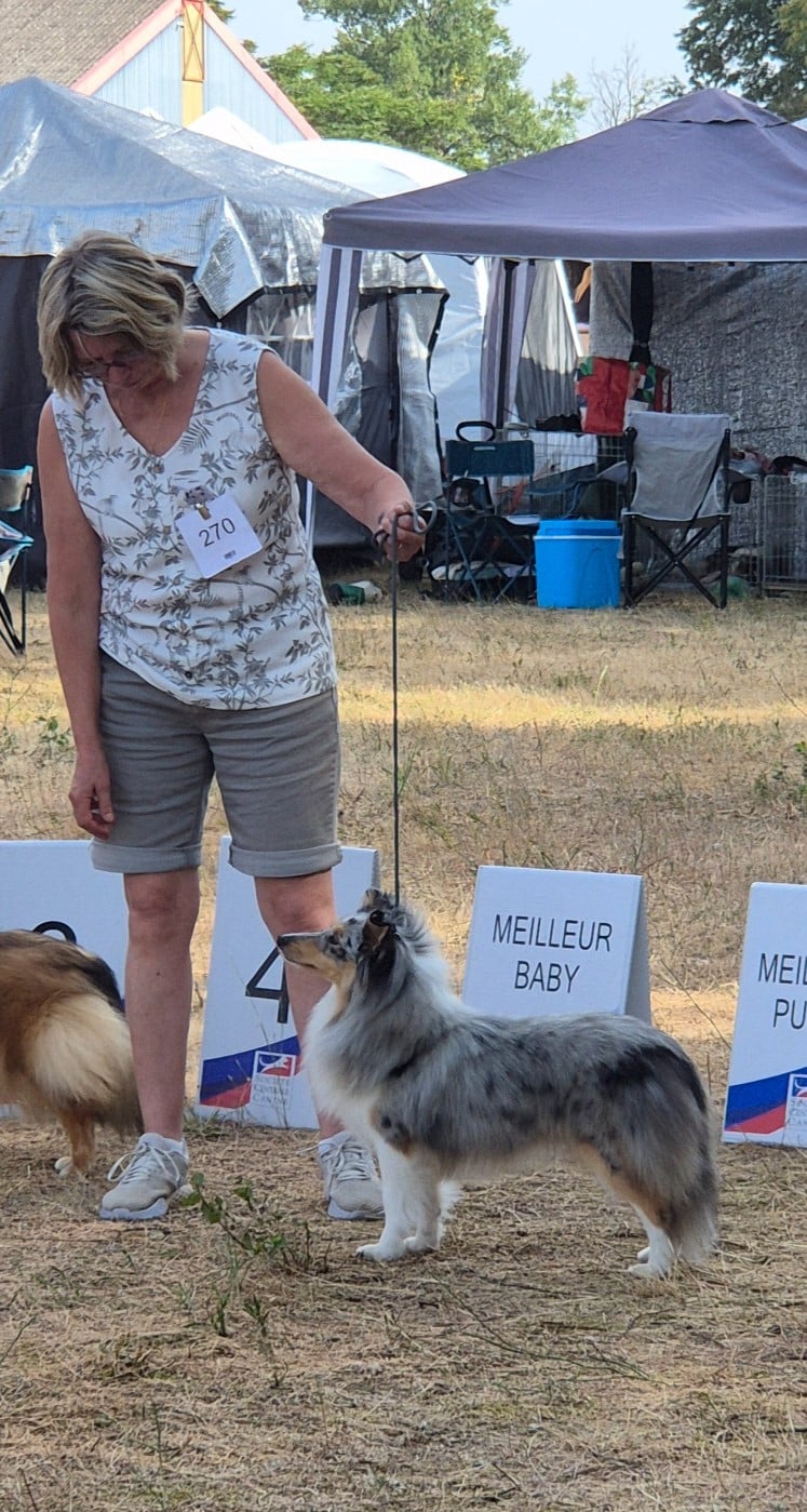 AMY Des gardiens des trois magots - 2ème Excellent /8 chiens présents en jeune femelle