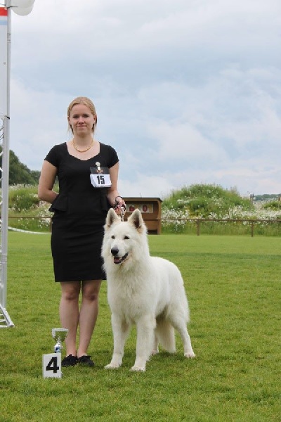 CH. Hatchi Du Moulin De Beuvry - 4ème Excellent Classe Champion