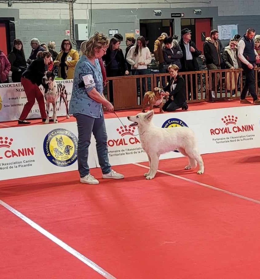 U're the only one jade Of Farah's Pearls - 1er Très Prometteur, Meilleur Baby