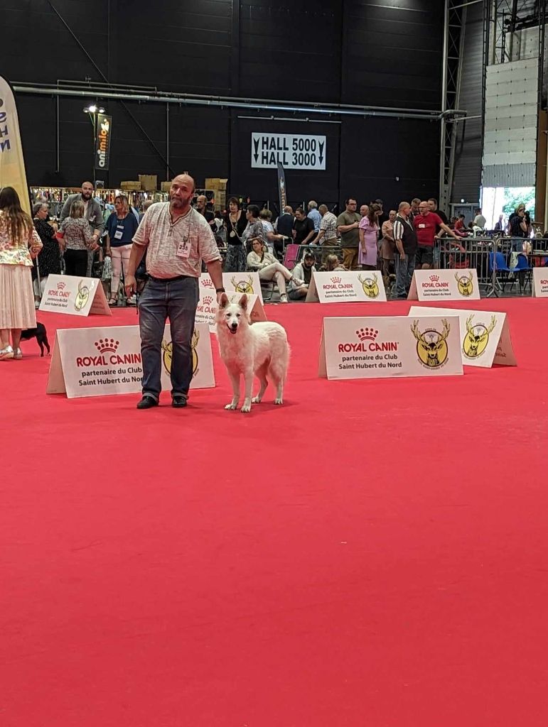 Topaz the precious stone Du Moulin De Beuvry - 2ème Exc