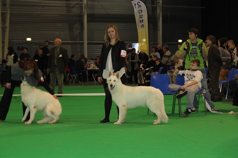 HaÑa Du Moulin De Beuvry - 1er EXC + RCACS + RCACIB