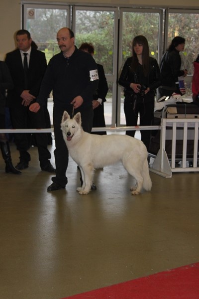 HaÑa Du Moulin De Beuvry - 3ème EXCELLENT
