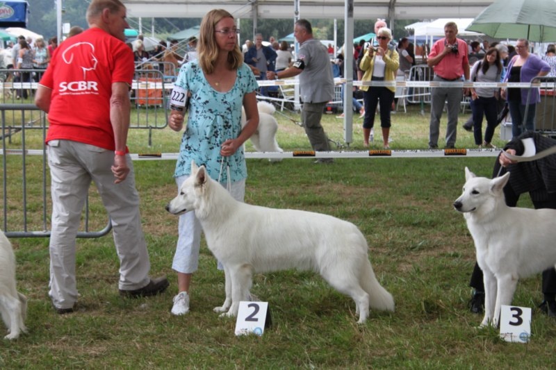 HaÑa Du Moulin De Beuvry - 2ème Excellent