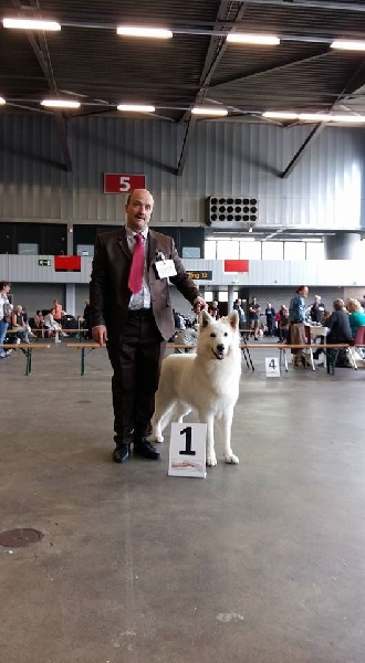 CH. Hatchi Du Moulin De Beuvry - 1er Exc CAC CACIB et BOS