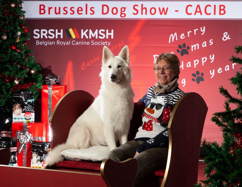 CH. Nice white nova Du Moulin De Beuvry - 1er Exc CAC CACIB et BOB