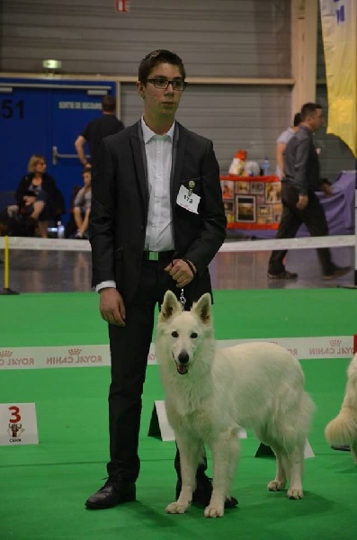 HaÑa Du Moulin De Beuvry - 4ème Excellent