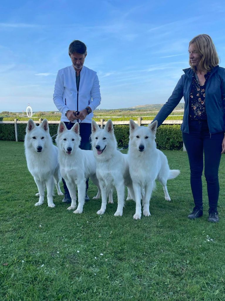 Obi wan kenobi Du Moulin De Beuvry - 2ème Exc en classe ouverte RCAC