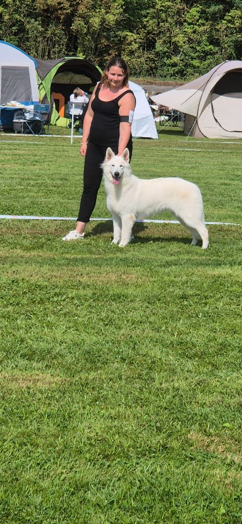 U're the only one jade Of Farah's Pearls - 1er Exc CACS Jeune BOS