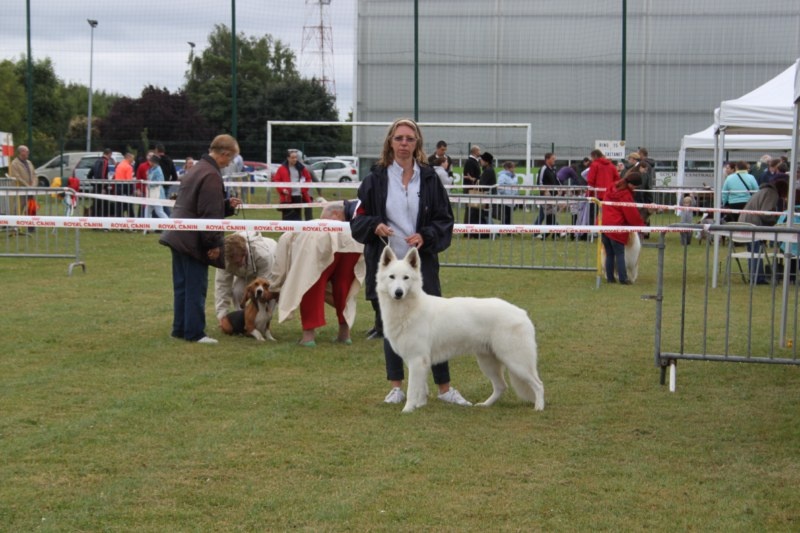 HaÑa Du Moulin De Beuvry - CACS