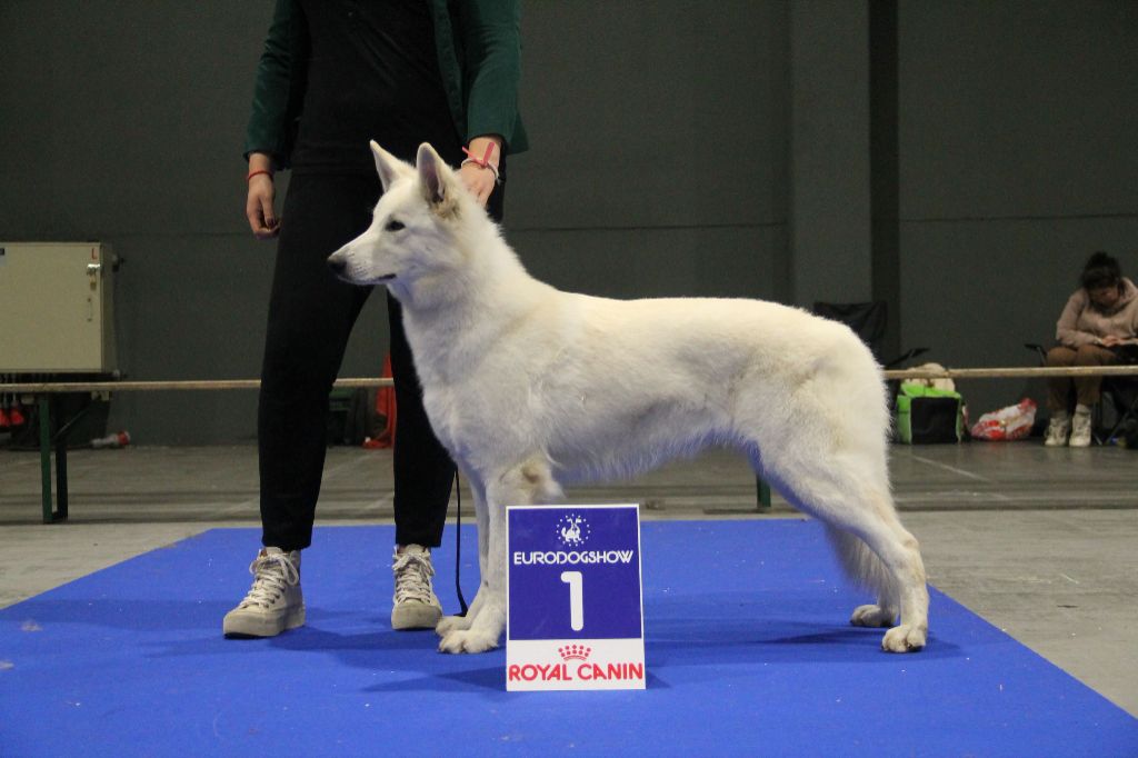 U're the only one jade Of Farah's Pearls - 1ER TB