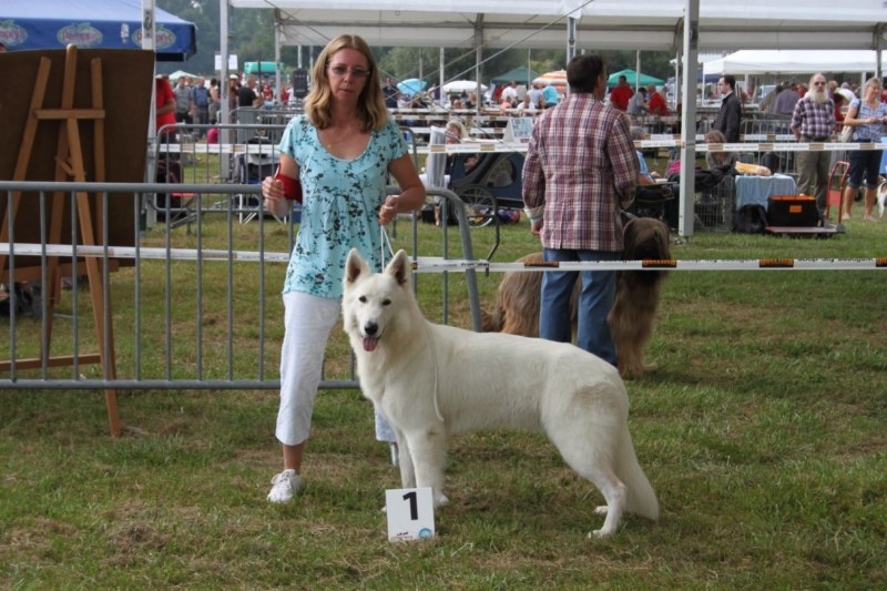 CH. Hatchi Du Moulin De Beuvry - 1er Excellent