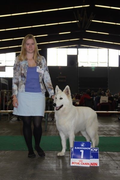 CH. Hatchi Du Moulin De Beuvry - 1er EXC RCAC RACIB