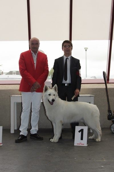 CH. Hatchi Du Moulin De Beuvry - CACS + BOB (Meilleur de Race)