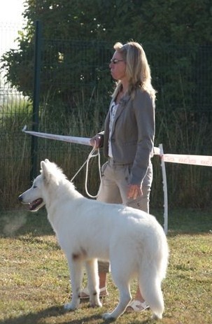 CH. Hatchi Du Moulin De Beuvry - TRES PROMETTEUR