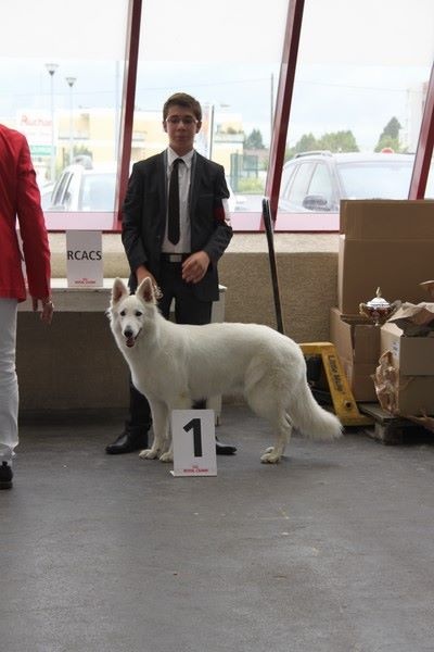 HaÑa Du Moulin De Beuvry - 1ère EXC RCACS