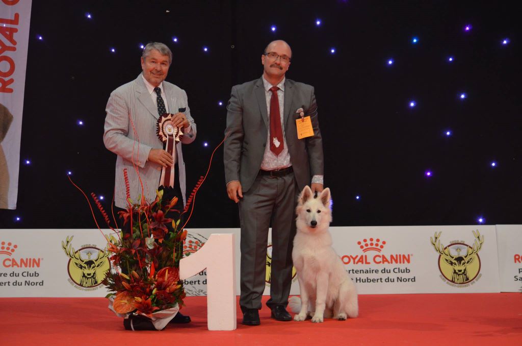 CH. Nice white nova Du Moulin De Beuvry - 1er Très Prometteur Meilleur BABY et 1ère BIS BABY