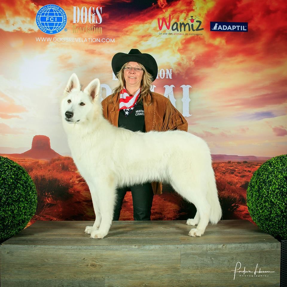 CH. Nice white nova Du Moulin De Beuvry - 1er Très Prometteur Meilleur PUPPY