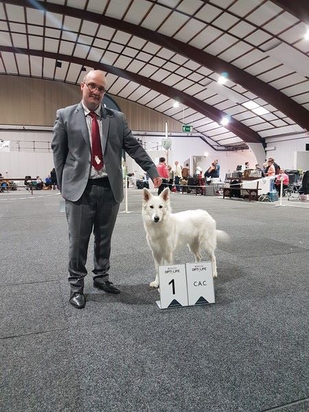 CH. Nice white nova Du Moulin De Beuvry - 1er Exc CAC et BOS