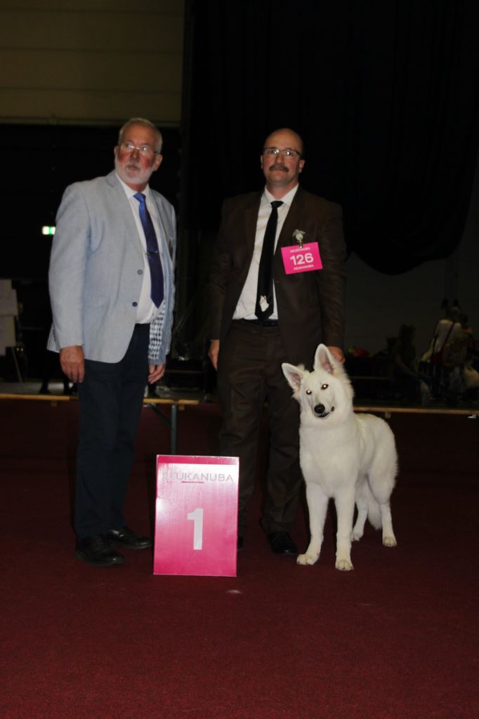 CH. Nice white nova Du Moulin De Beuvry - 1er Très Prometteur BOB PUPPY
