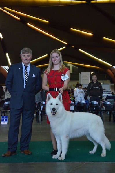 CH. Hatchi Du Moulin De Beuvry - CACS CACIB BOB