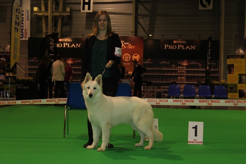 HaÑa Du Moulin De Beuvry - 1er Excellent