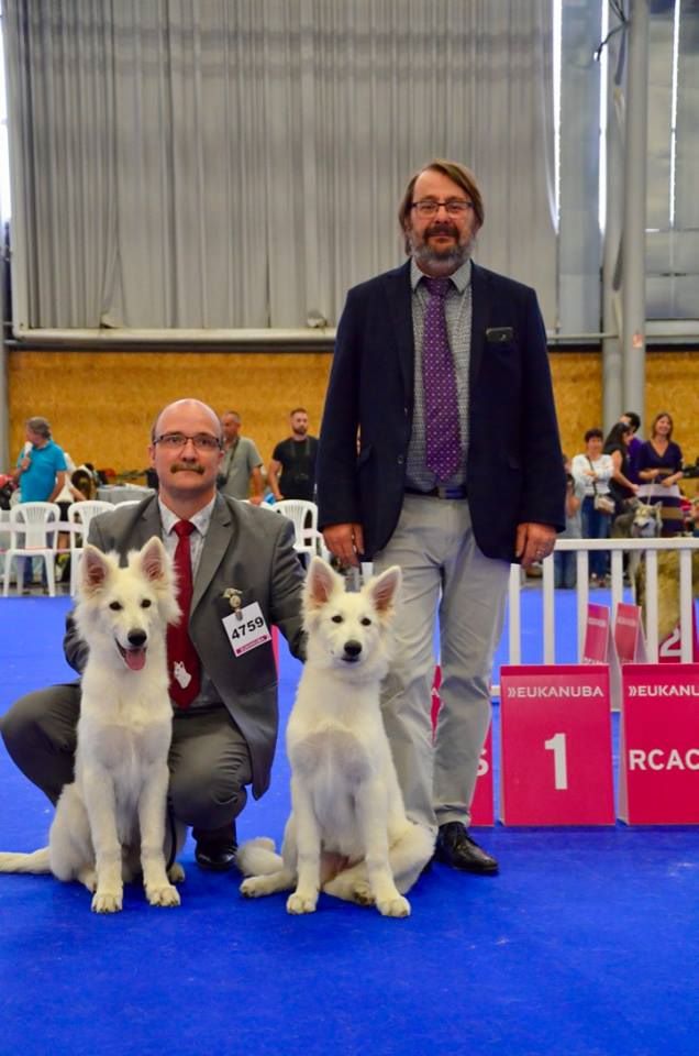 CH. Nice white nova Du Moulin De Beuvry - 2ème Très Prometteur