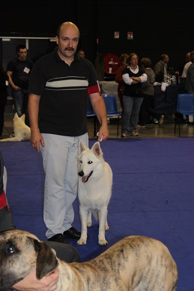 HaÑa Du Moulin De Beuvry - 2ème Excellent