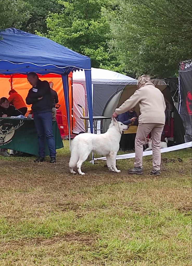 U're the only one jade Of Farah's Pearls - 1er Très Prometteur Meilleur Pyppy