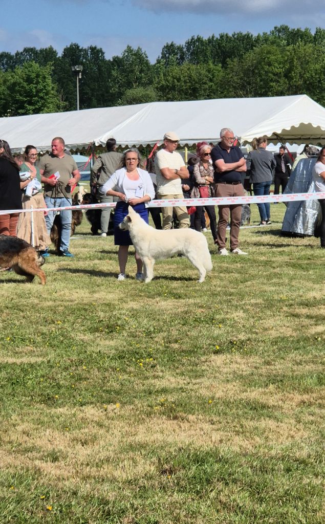 U're the only one jade Of Farah's Pearls - CACS BOB