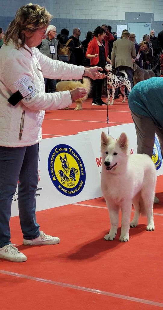 U're the only one jade Of Farah's Pearls - 1er Très Prometteur Meilleur Baby