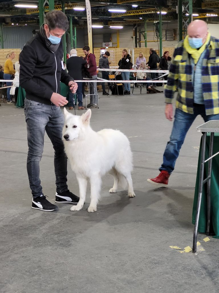 Obi wan kenobi Du Moulin De Beuvry - 2ème TB