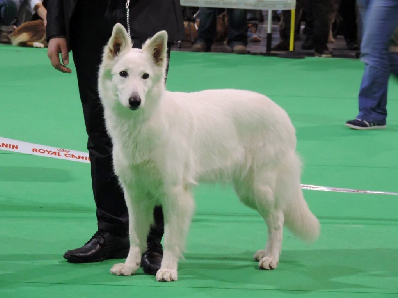 HaÑa Du Moulin De Beuvry - 3ème Tres Bon