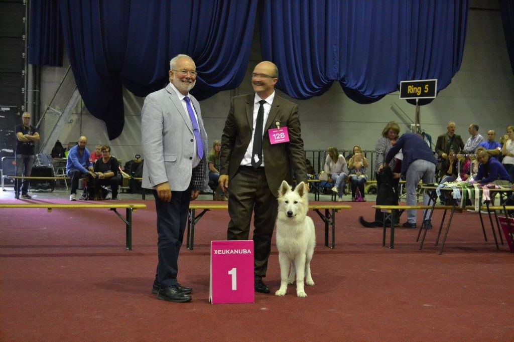 CH. Nice white nova Du Moulin De Beuvry - 1er Très Prometteur BEST PUPPY