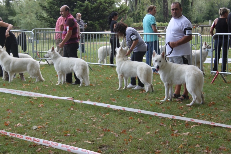 HaÑa Du Moulin De Beuvry - 5ème EXCELLENT