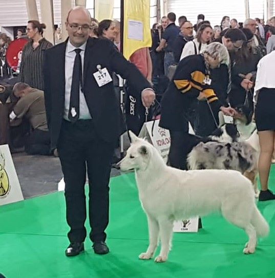 CH. Nice white nova Du Moulin De Beuvry - 1er Exc CACS, RCACIB