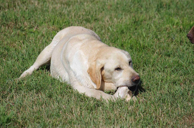 Publication : Des Jardins D'eywa