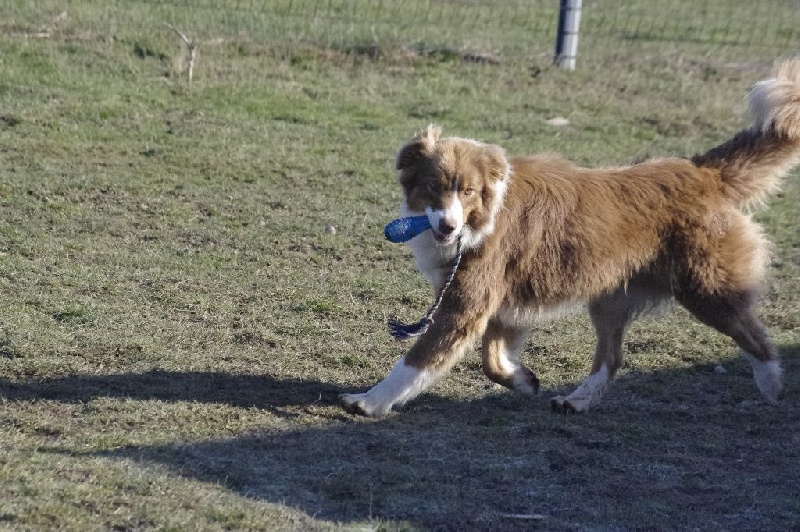 Publication : Des Jardins D'eywa