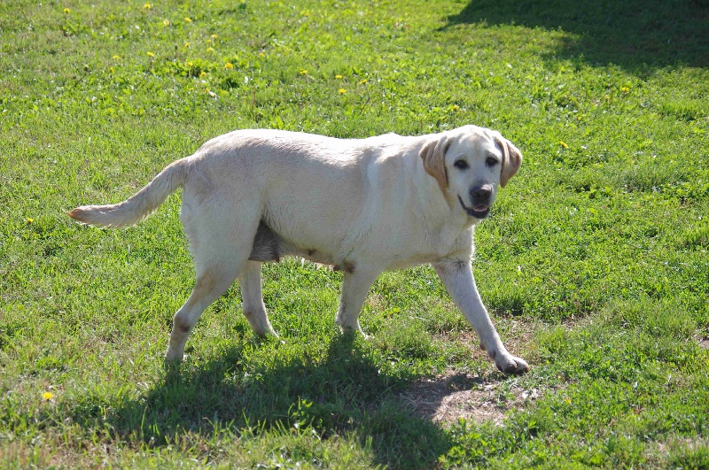 Publication : Des Jardins D'eywa